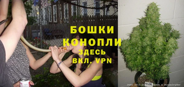 ГАЛЛЮЦИНОГЕННЫЕ ГРИБЫ Верея
