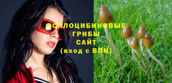 твердый Бородино