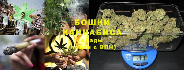 ГАЛЛЮЦИНОГЕННЫЕ ГРИБЫ Верея