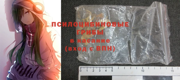 твердый Бородино