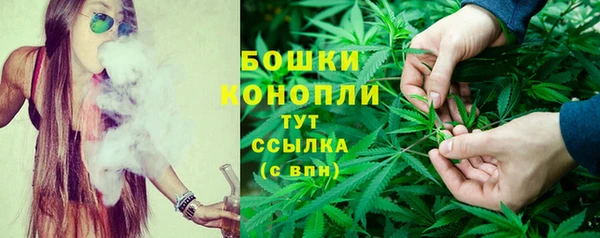 прущие грибы Бугульма