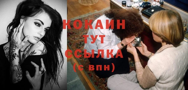 прущие грибы Бугульма