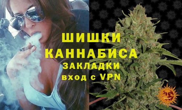 прущие грибы Бугульма