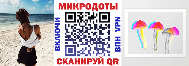 Псилоцибиновые грибы Psilocybine cubensis  Весьегонск 