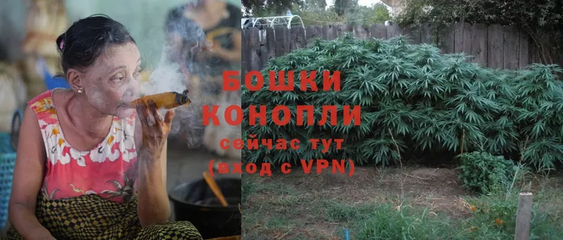 Конопля THC 21%  Весьегонск 